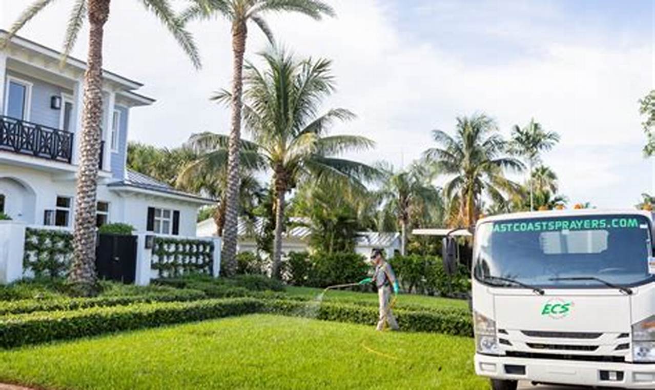 The Ultimate Guide to Pest Control in Delray Beach