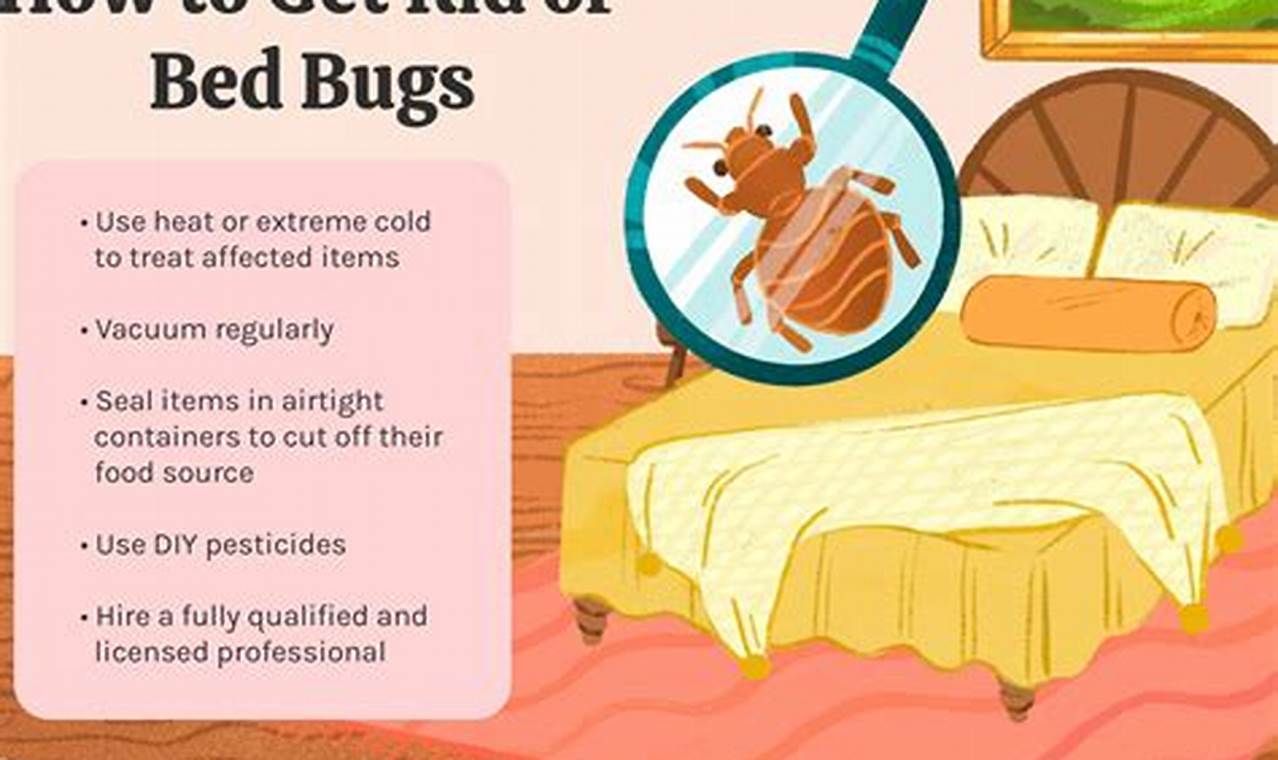 Bed Bug Extermination Near Me in Juno Beach: Fast, Effective, and Affordable