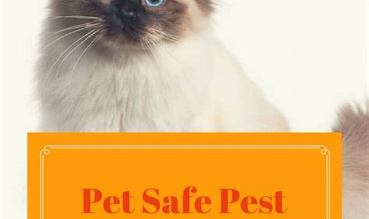 The Essential Guide to Pet-Friendly Pest Control