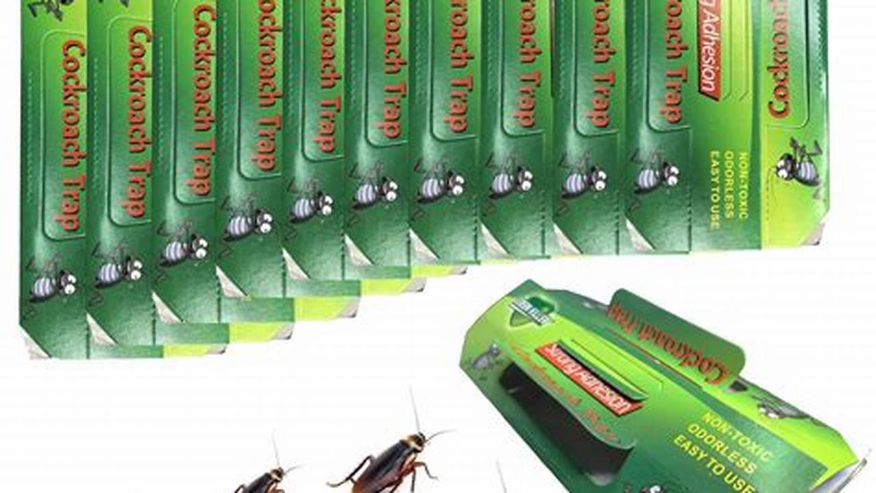 Stop Roaches Fast: Effective Roach Control Solutions