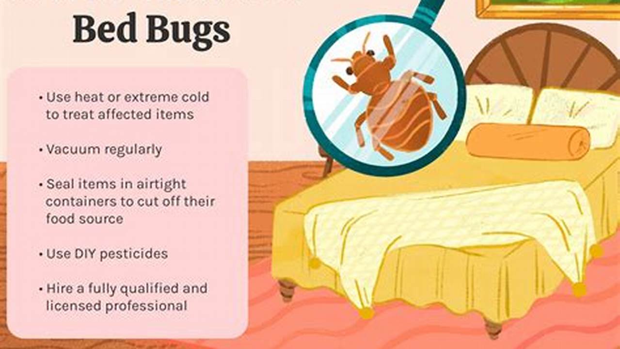 Bed Bug Extermination Near Me in Juno Beach: Fast, Effective, and Affordable