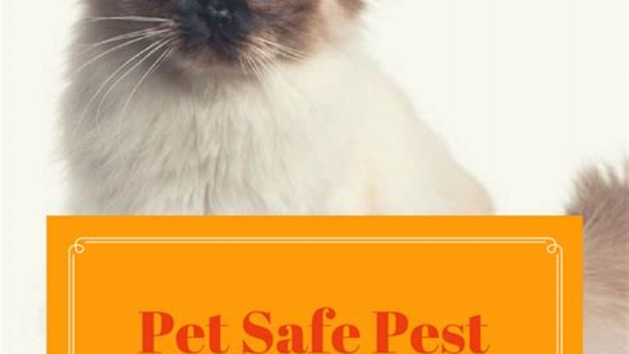 The Essential Guide to Pet-Friendly Pest Control