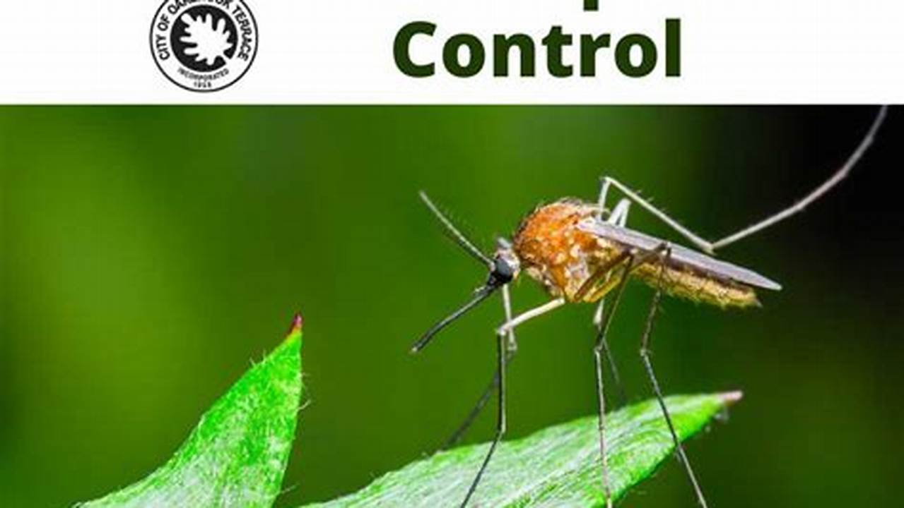 Eliminate Mosquitoes Now! Temple Terrace Mosquito Control