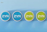 Zyn Weight Loss A Comprehensive Review