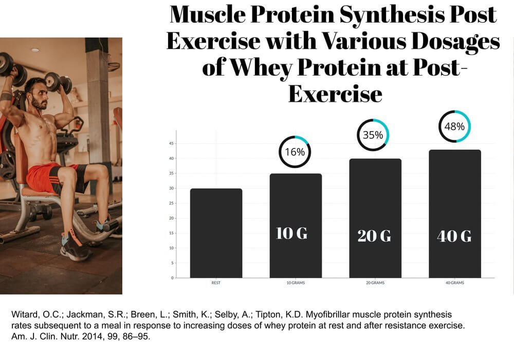 The role of protein in muscle building and gym performance