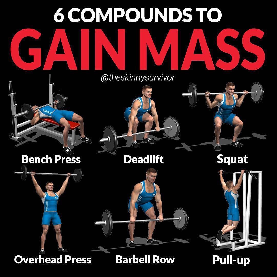 How to build muscle mass quickly and safely at the gym